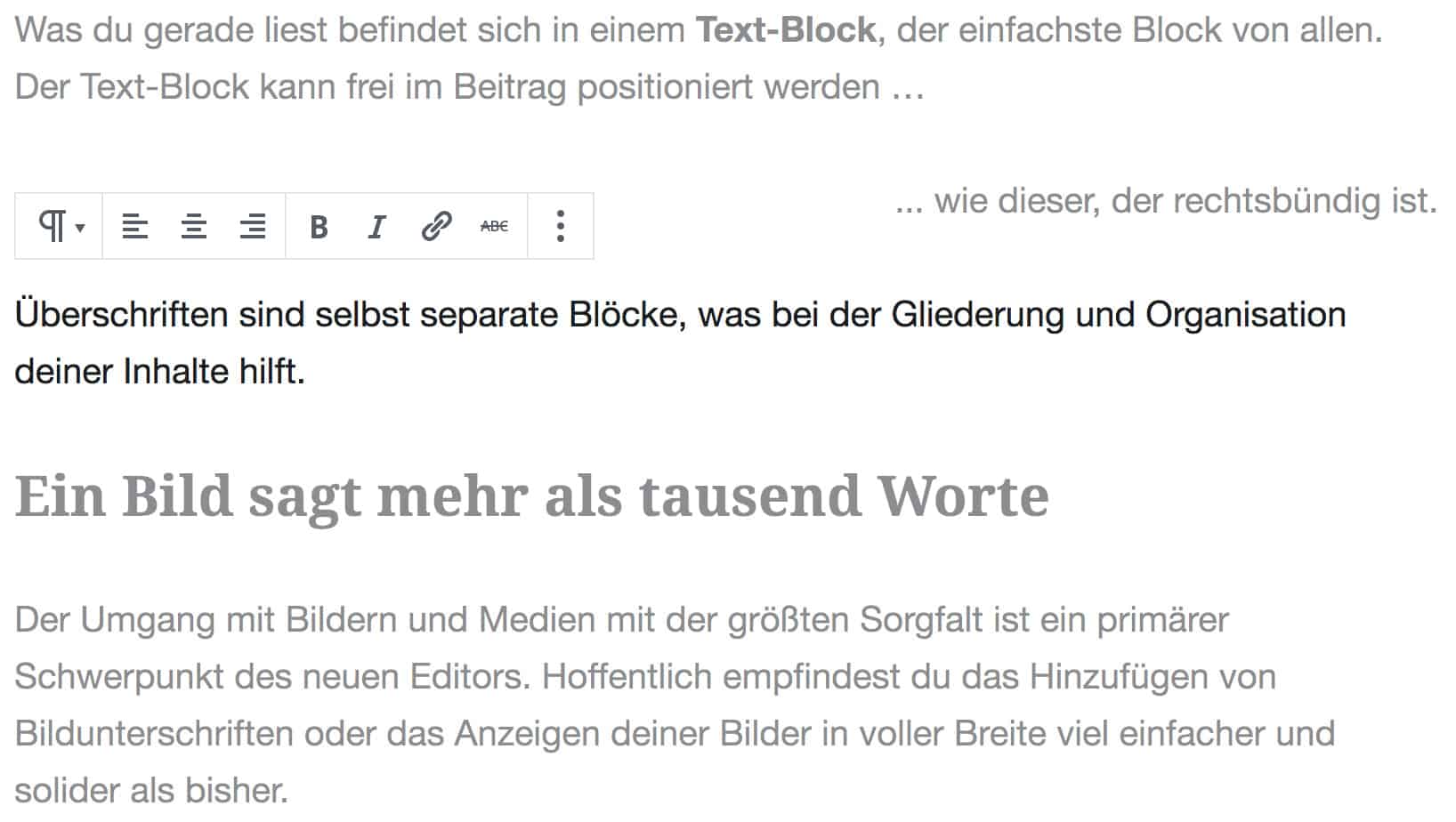 Screenshot des Spotlight-Modus, bei dem ein Absatz-Block hervorgehoben ist.