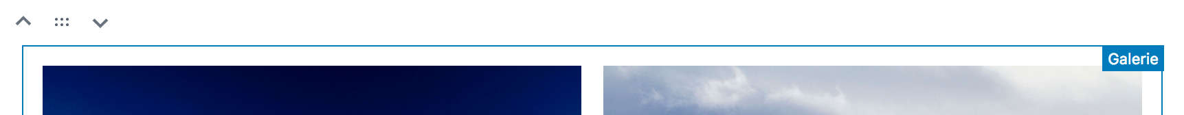 Screenshot eines Galerie-Blocks mit sichtbaren Positierungs-Elementen oberhalb vom Block.