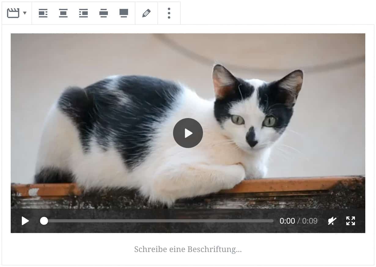 Screenshot des Video-Blocks, nachdem ein Video einer Katze hinzugefügt wurde.