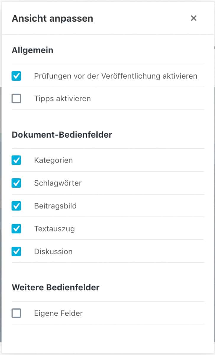 Screenshot des geöffneten Fensters des "Ansicht anpassen" Menüs.