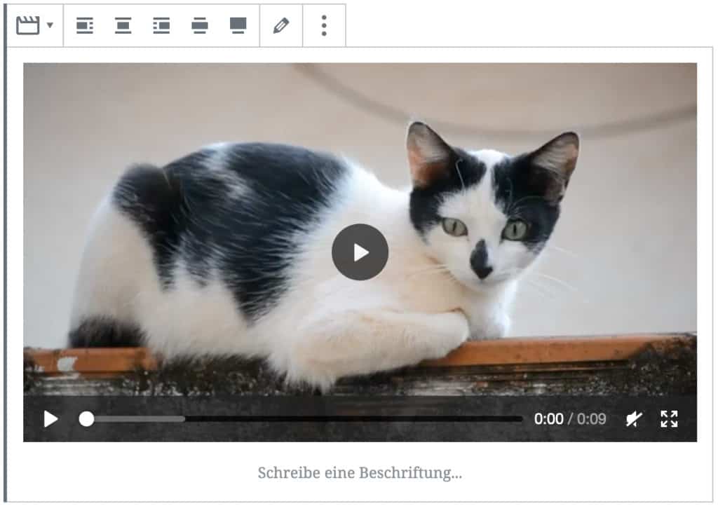 Screenshot des Video-Blocks, nachdem ein Video einer Katze hinzugefügt wurde.