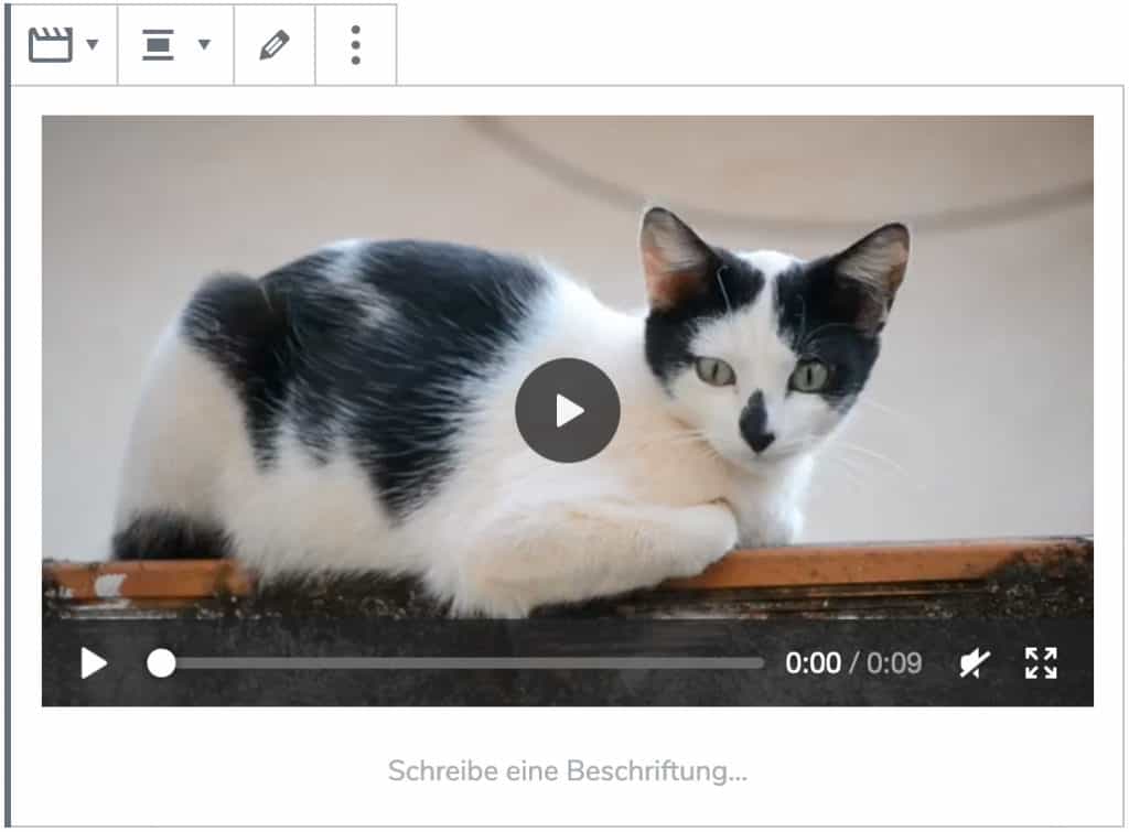 Screenshot des Video-Blocks, nachdem ein Video einer Katze hinzugefügt wurde.