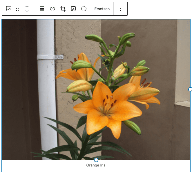 Screenshot des Bild-Blocks, nachdem ein Bild einer Blume hinzugefügt wurde.