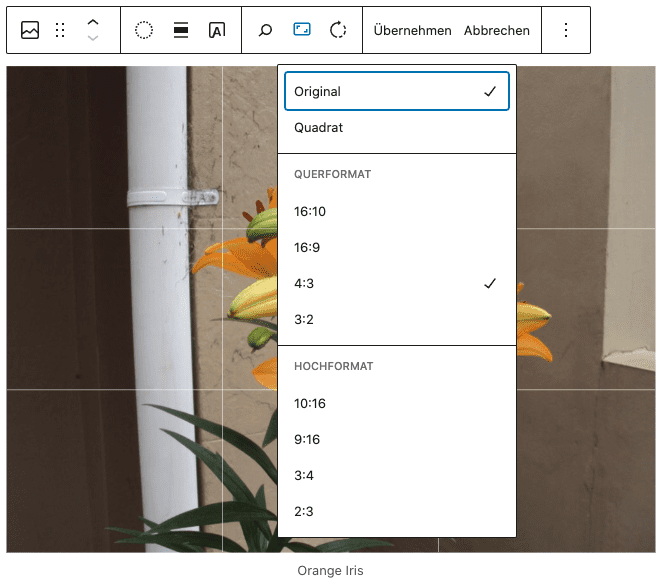 Screenshot des Bild-Blocks, wenn die Funktion Zuschneiden ausgewählt wurde und die Formatoptionen angezeigt werden.
