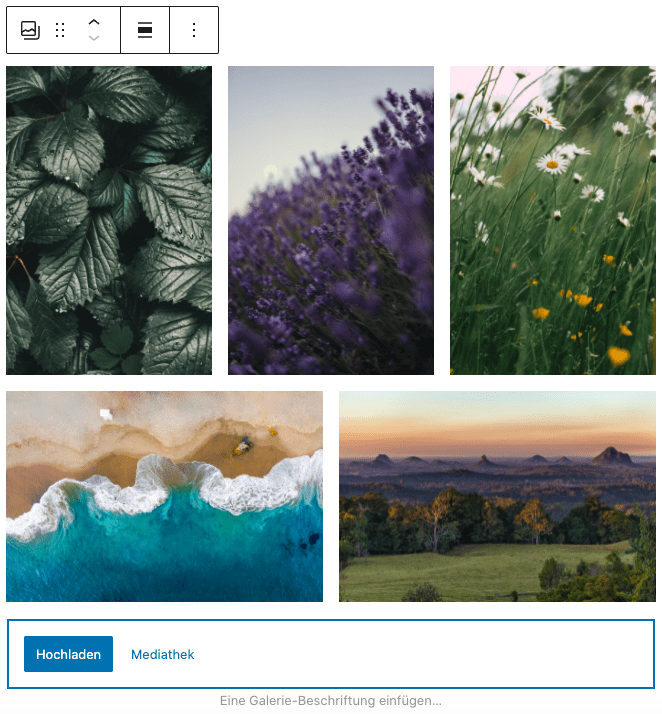 Screenshot des Galerie-Blocks, bei dem fünf Beispielbilder mit Naturmotiven hinzugefügt wurden.