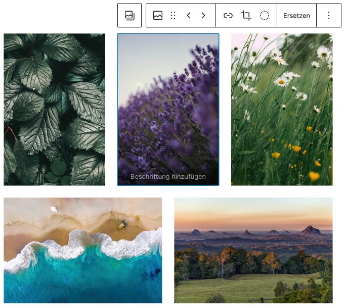 Screenshot des Galerie-Blocks, bei dem fünf Beispielbilder mit Naturmotiven hinzugefügt wurden. Drei Bilder im Hochformat in der ersten Reihe, darunter zwei Bilder im Querformat. Das mittlere Bild in der ersten Reihe ist im Fokus, alle Editier-Optionen werden angezeigt.